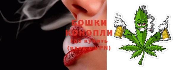 мдпв Кострома