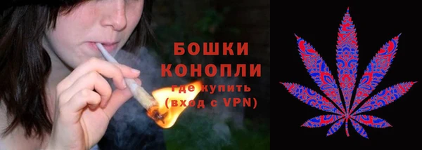 2c-b Лагань
