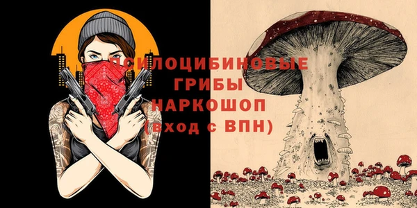 бошки Лабытнанги