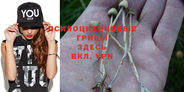 бошки Лабытнанги