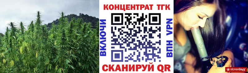 ТГК концентрат  KRAKEN как войти  Ачхой-Мартан 