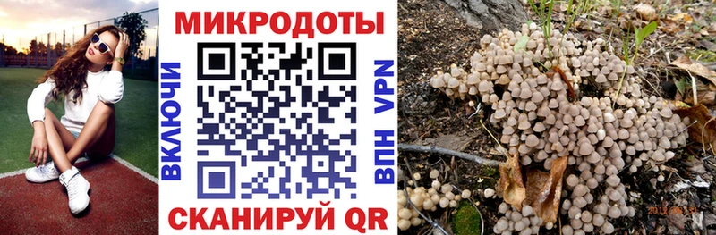 Галлюциногенные грибы мицелий  цены   Ачхой-Мартан 